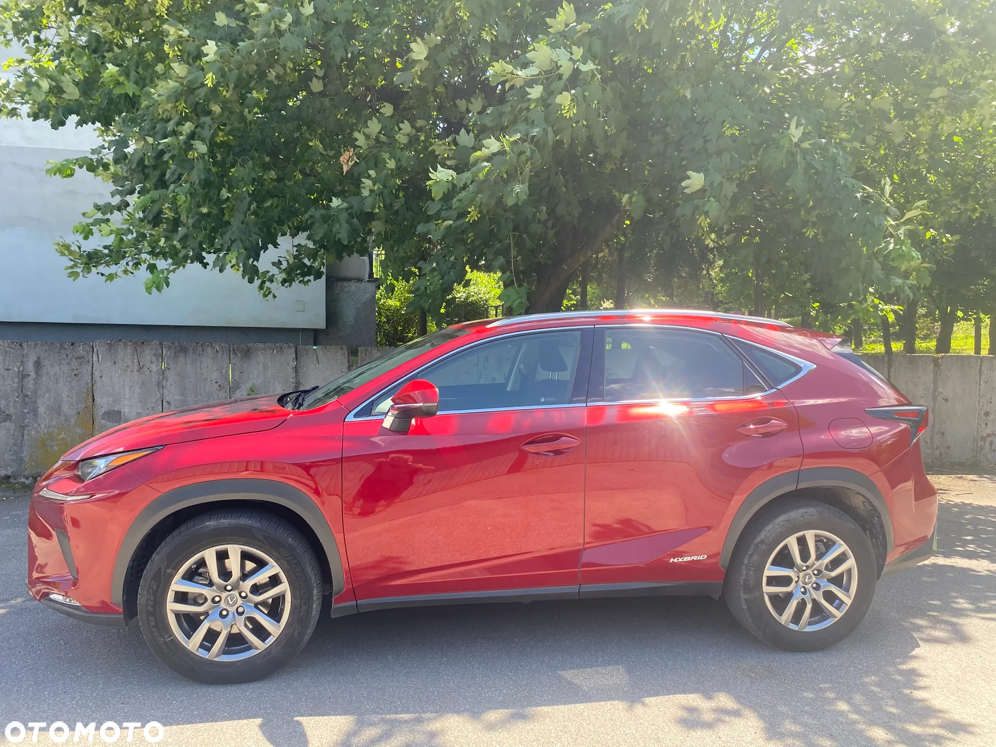 Lexus NX 300h Elegance AWD - 8
