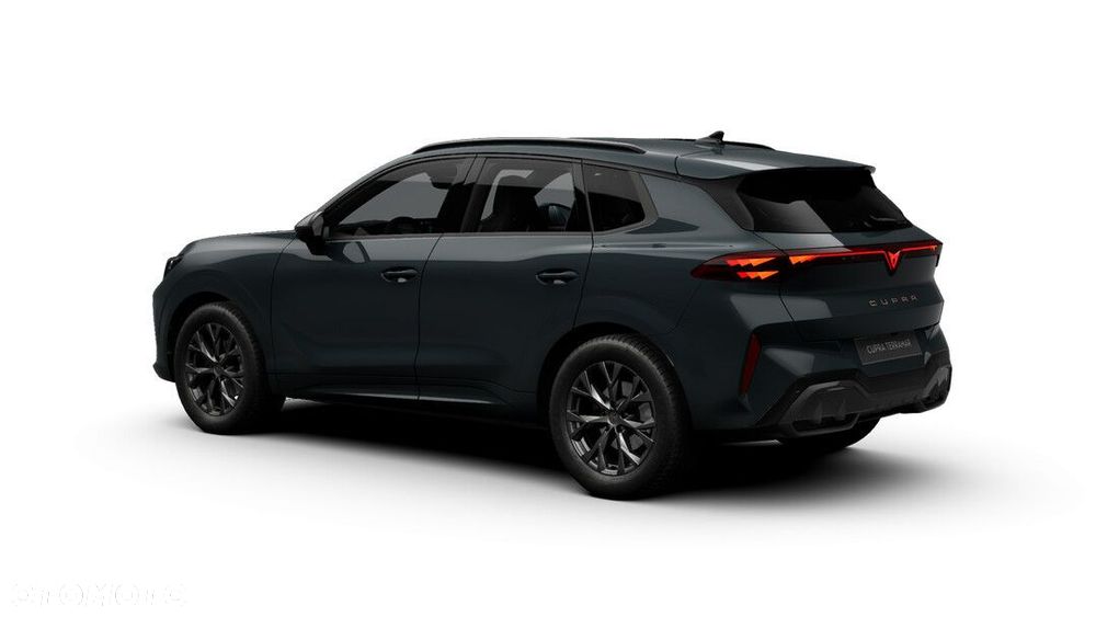 Cupra Terramar - 5