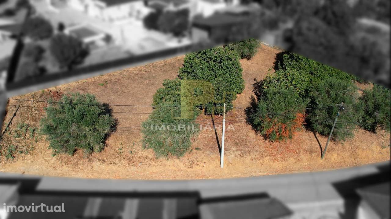 Lote de Terreno  Venda em Alcanhões,Santarém - Grande imagem: 5/12
