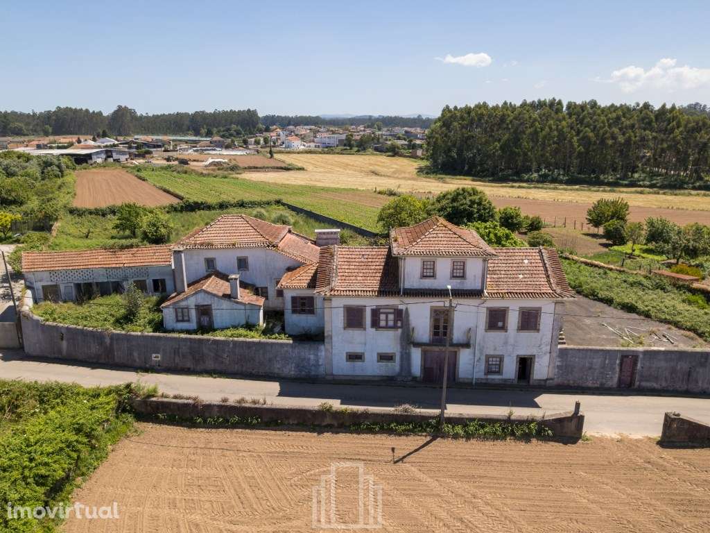 Quintinha T6 - Válega - Grande imagem: 4/53