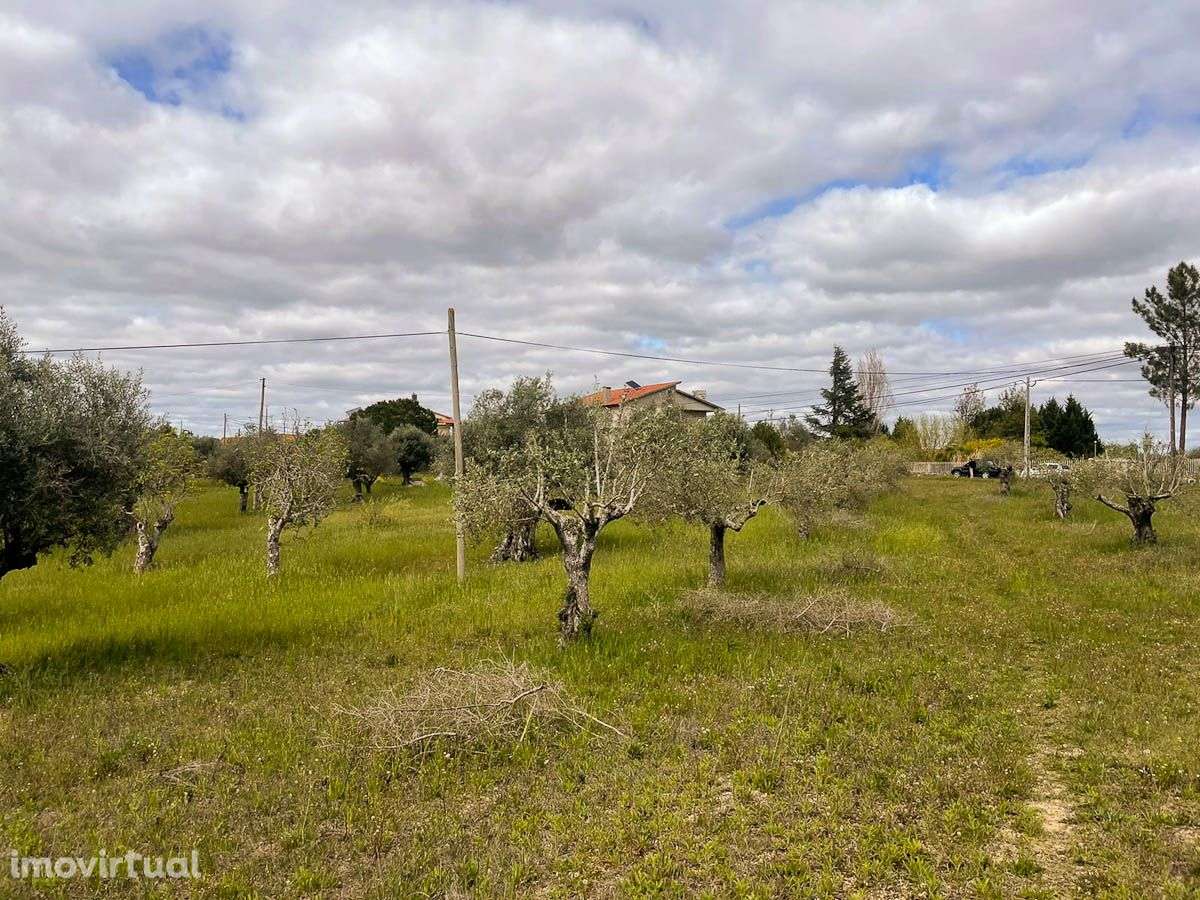 Terreno - Grande imagem: 3/5