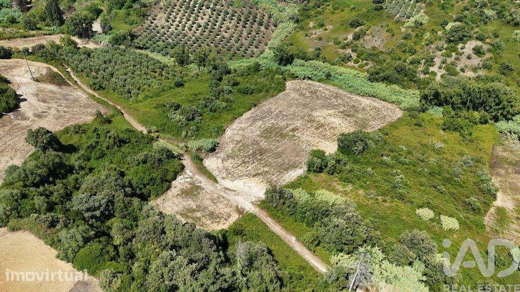 Terreno Agrícola em Azambujeira e Malaqueijo - Grande imagem: 3/8