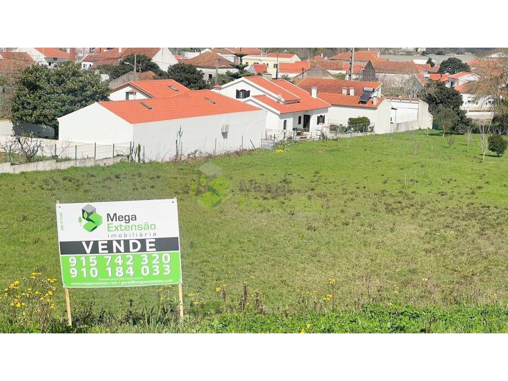 Terreno para Construção em Vilar - Cadaval | A 45 minutos de Lisboa - Grande imagem: 4/19