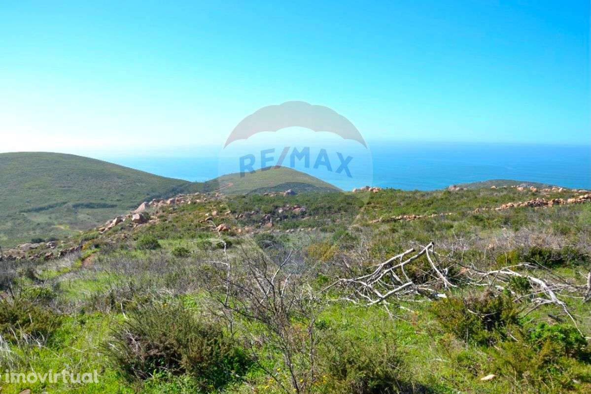 Terreno  para venda - Grande imagem: 2/11