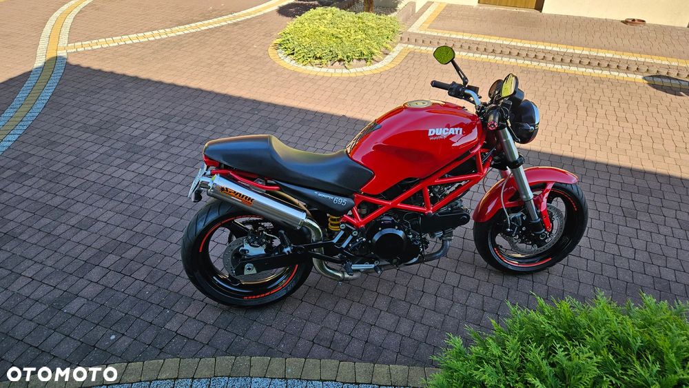 Ducati Monster - 1