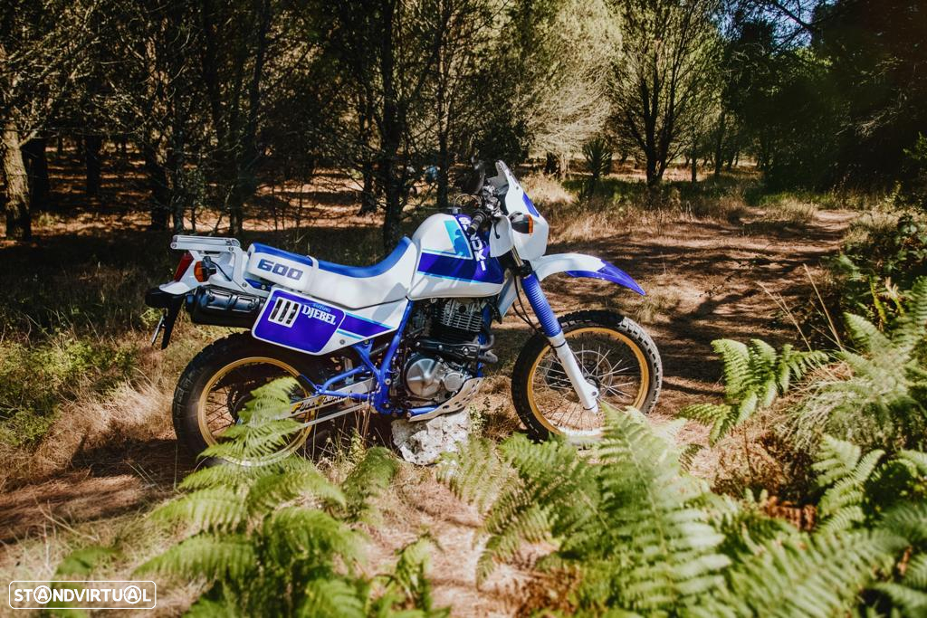 Suzuki DR DR 600 DJEBEL - 6