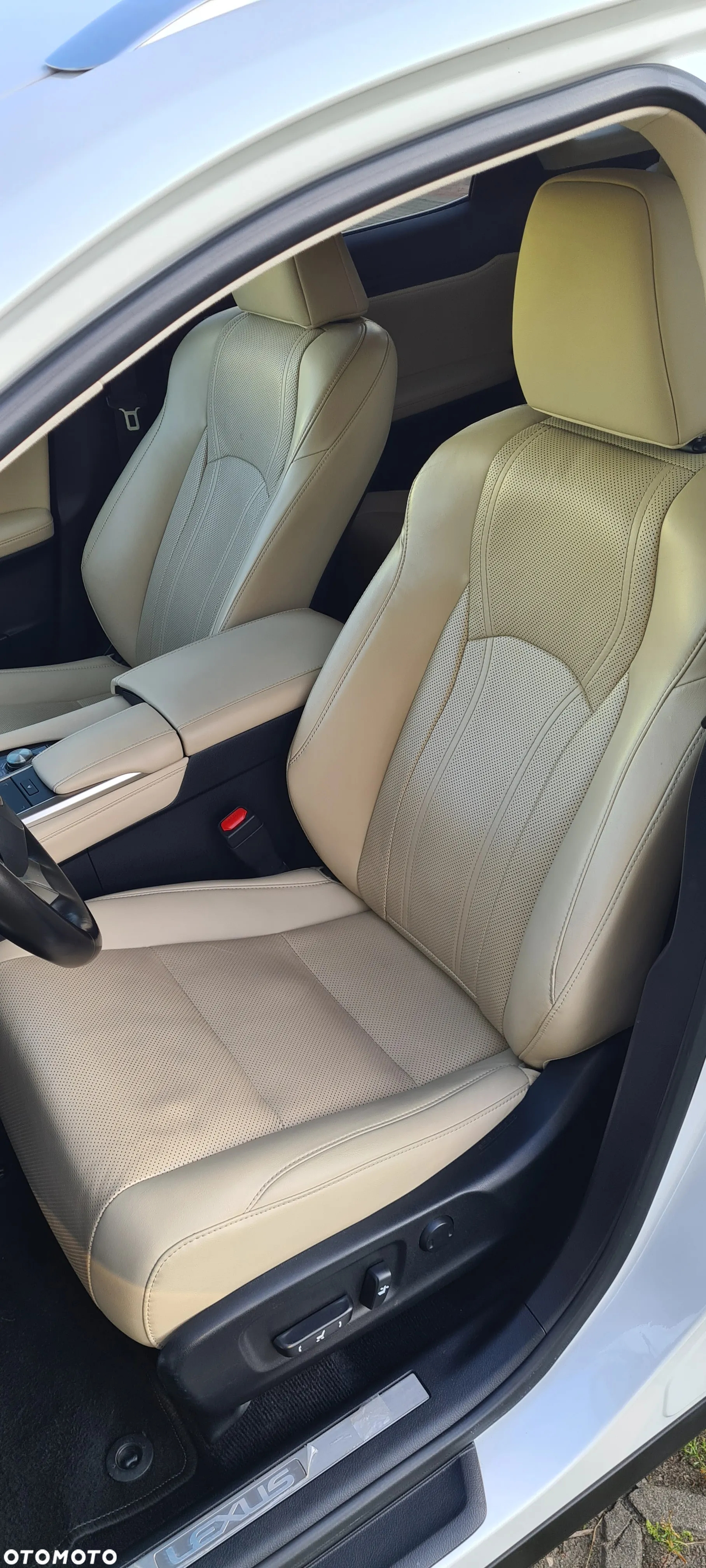 Lexus RX 450h F-Impression - 15