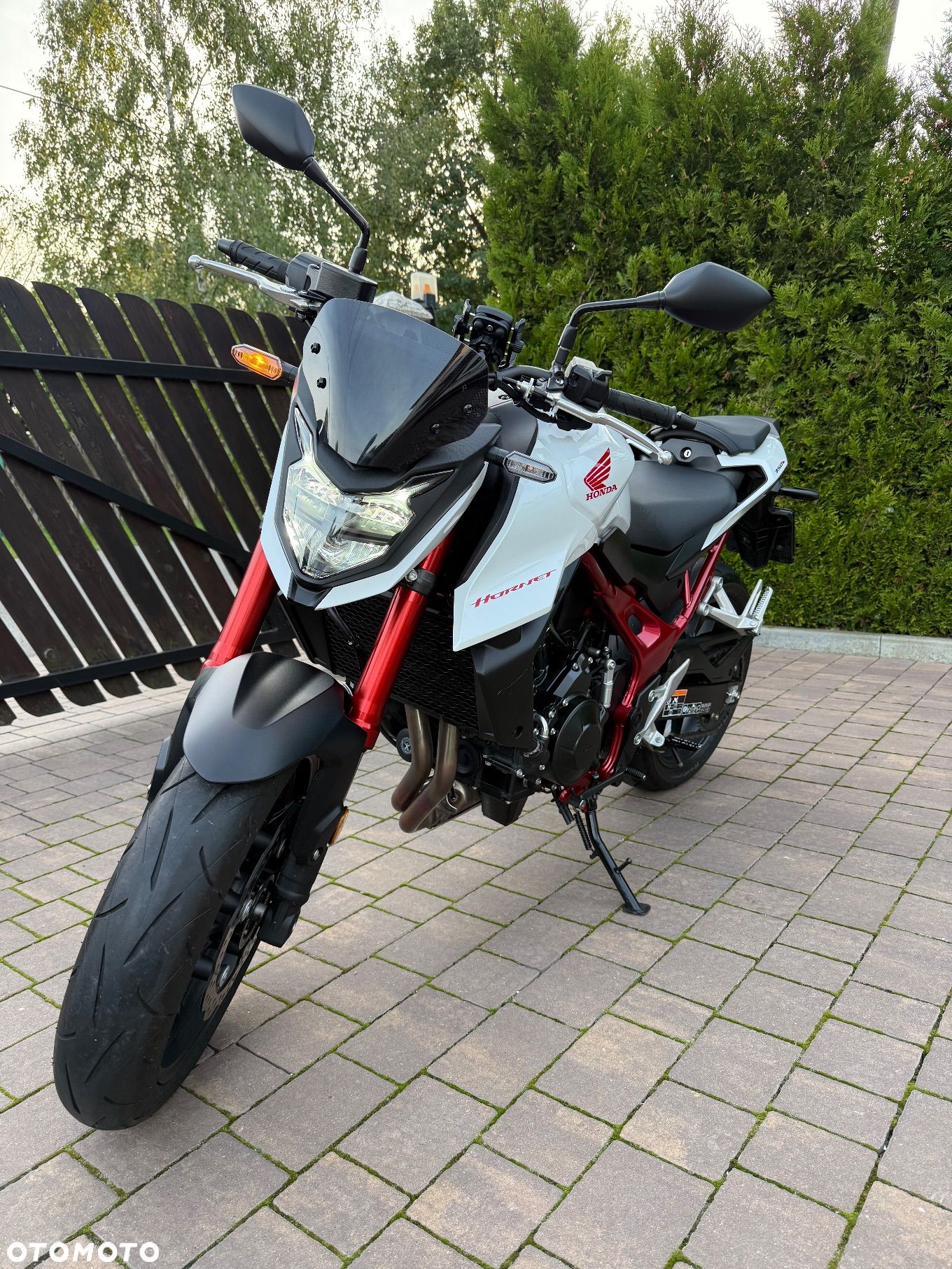 Honda Hornet - 1