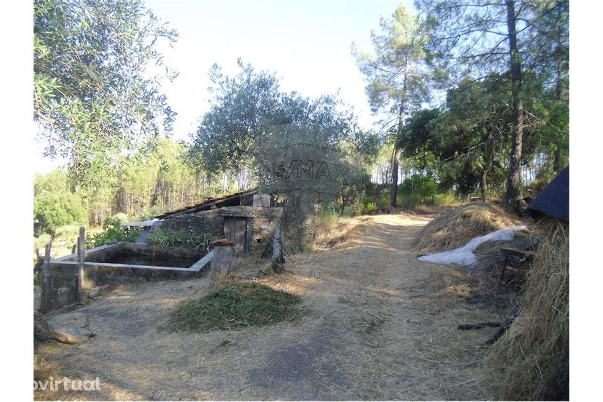 Quinta T0 para venda - Grande imagem: 2/50