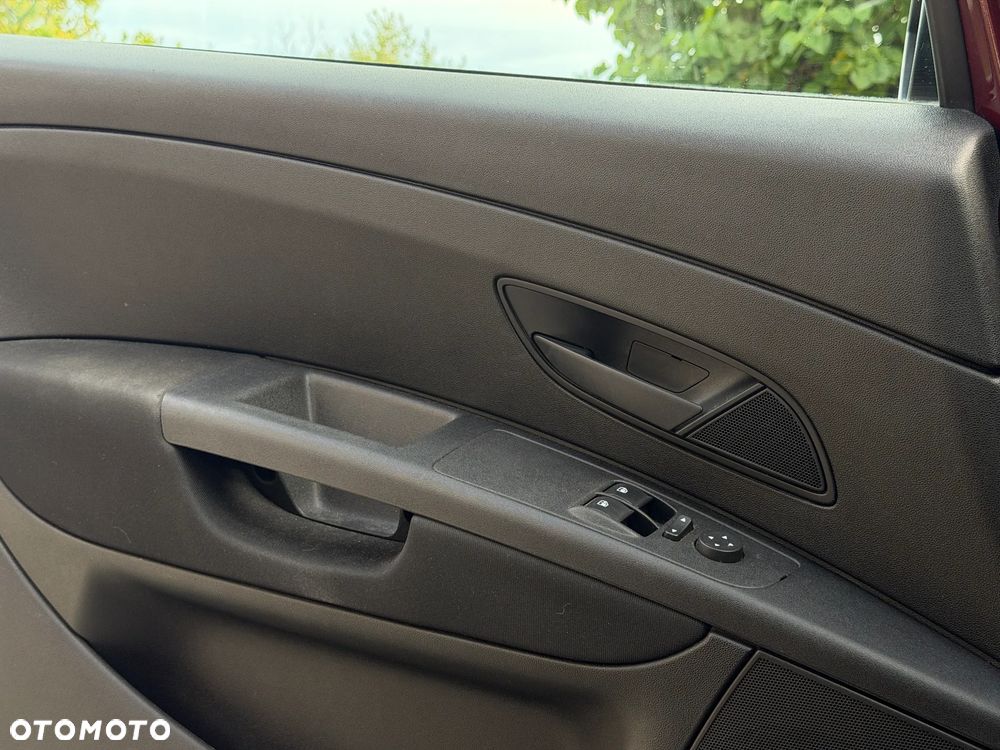 Fiat Punto - 18