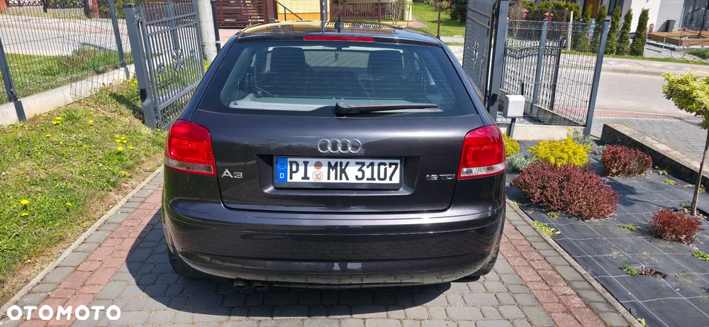 Audi A3 3-drzwiowe 1.9 TDIe DPF - 22