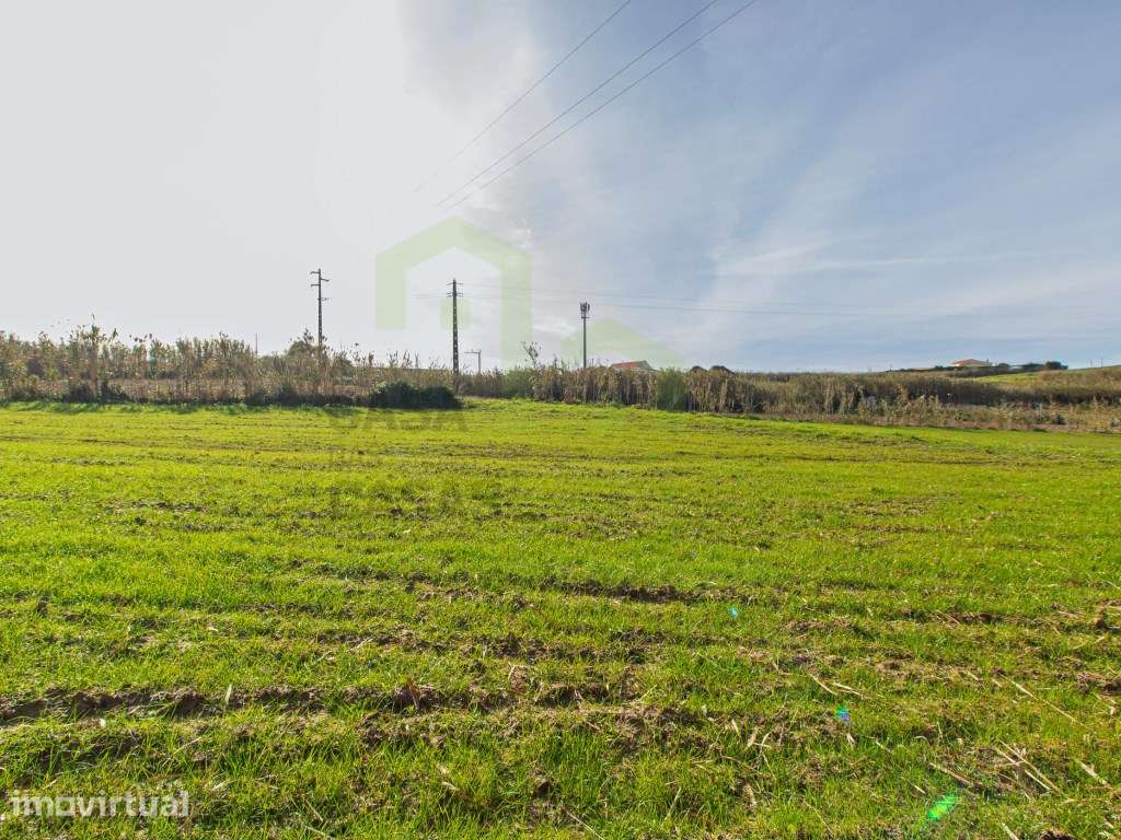 Vende Terreno - Ericeira 13 km, A Casa das Casas - Grande imagem: 3/11