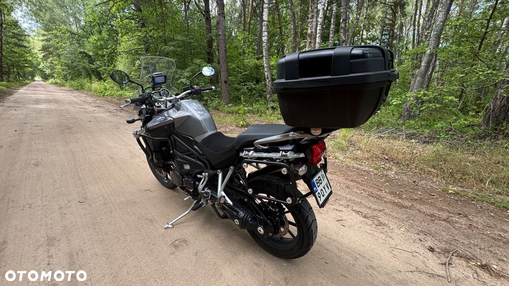 Triumph Tiger - 4