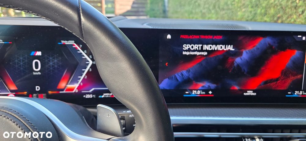 BMW Seria 3 318i M Sport - 13
