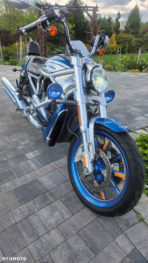 Harley-Davidson V-Rod Street Rod - 5