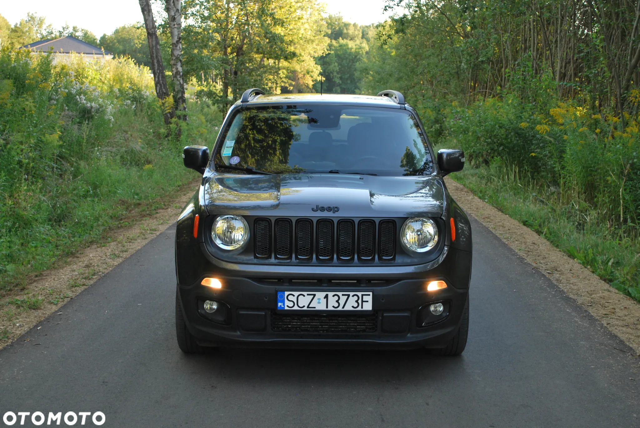 Jeep Renegade 1.4 MultiAir Limited FWD S&S - 4
