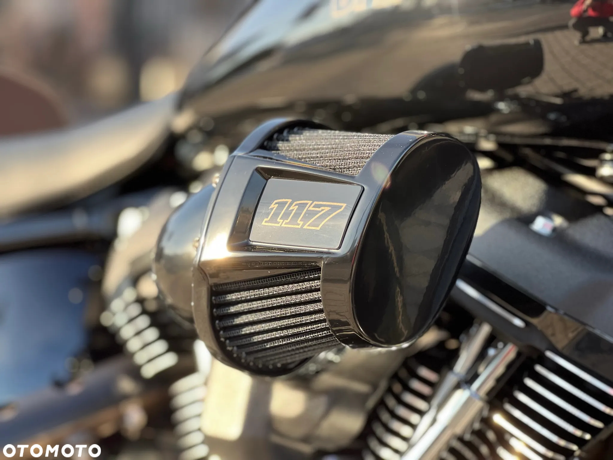 Harley-Davidson Softail Low Rider - 8