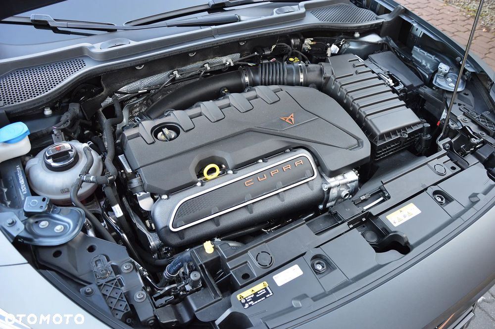 Cupra Formentor VZ5 2.5 TSI 4Drive DSG Enceladus Grey Matt Edition - 30