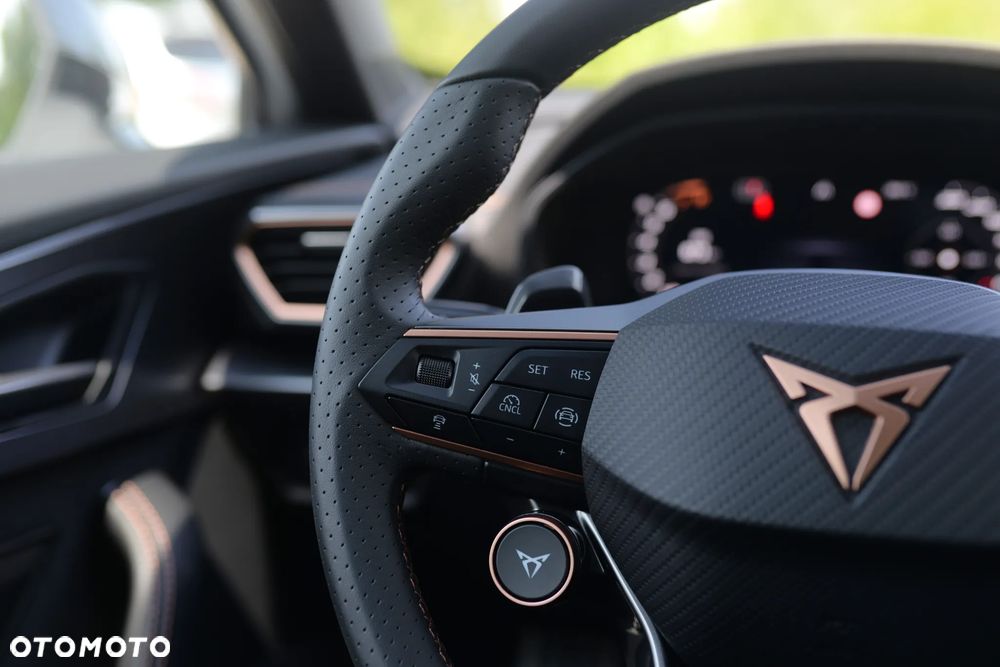 Cupra Formentor 2.0 TSI 4Drive DSG - 15