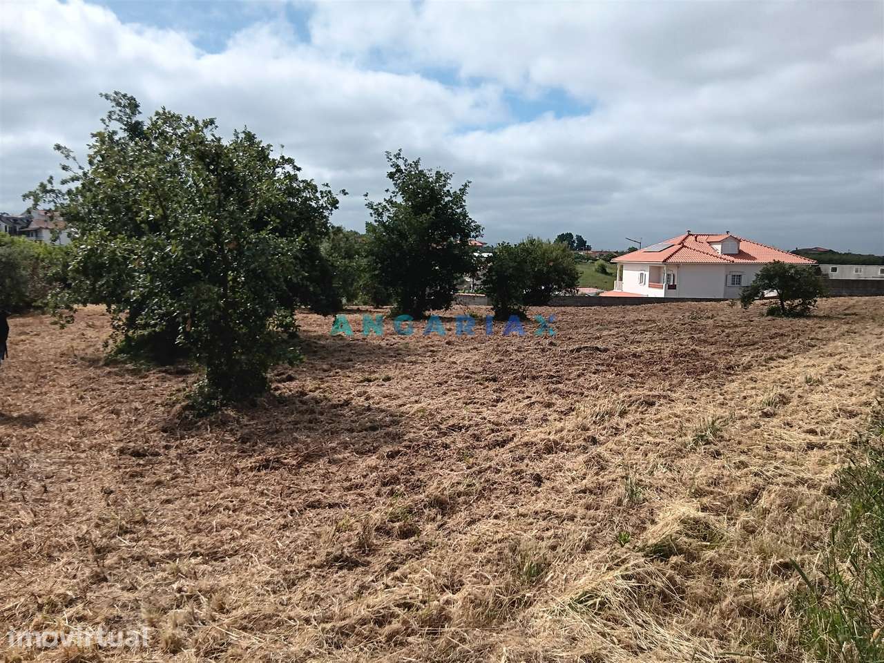 ANG1634 - Terreno para Venda em Batalha - Grande imagem: 2/3