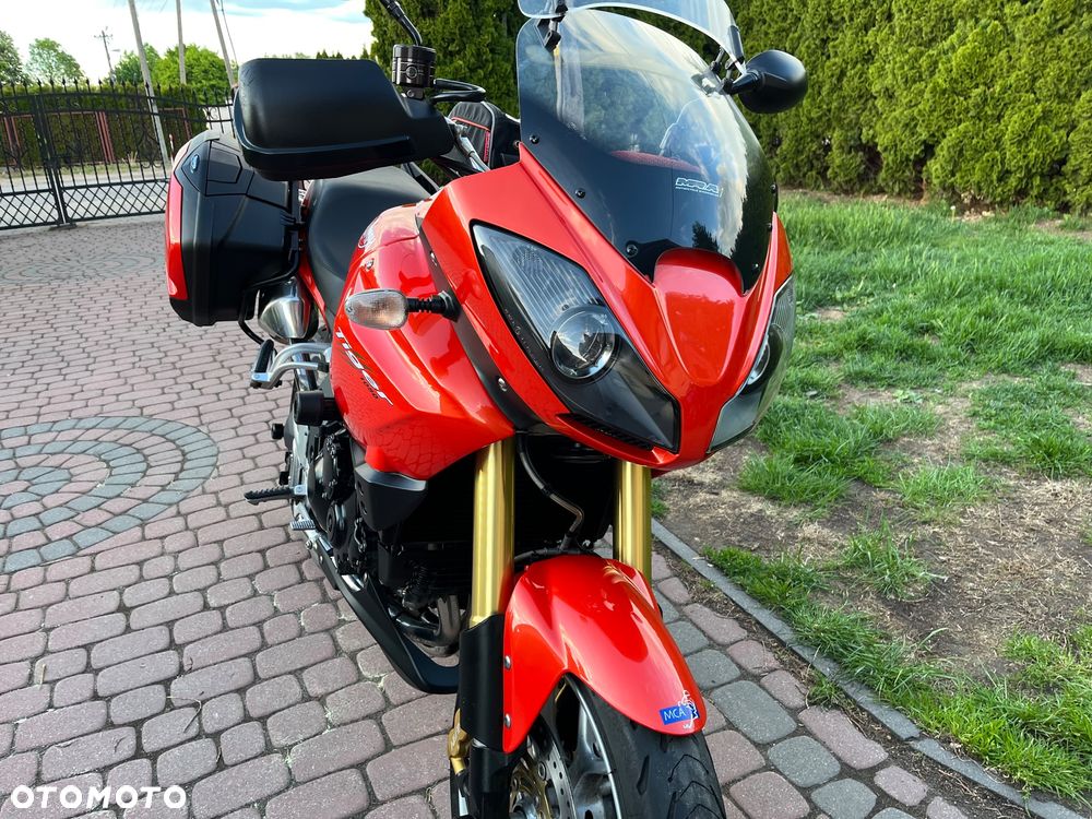 Triumph Tiger - 15