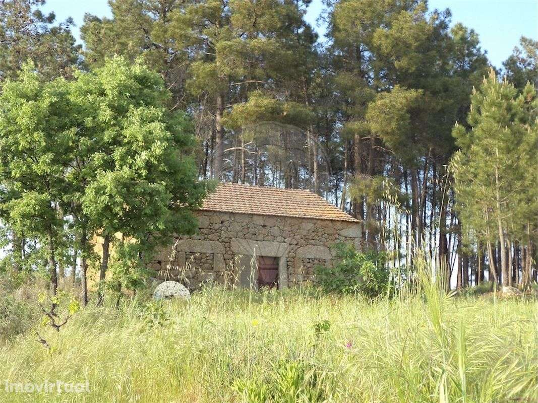 Quinta  para venda - Grande imagem: 2/47