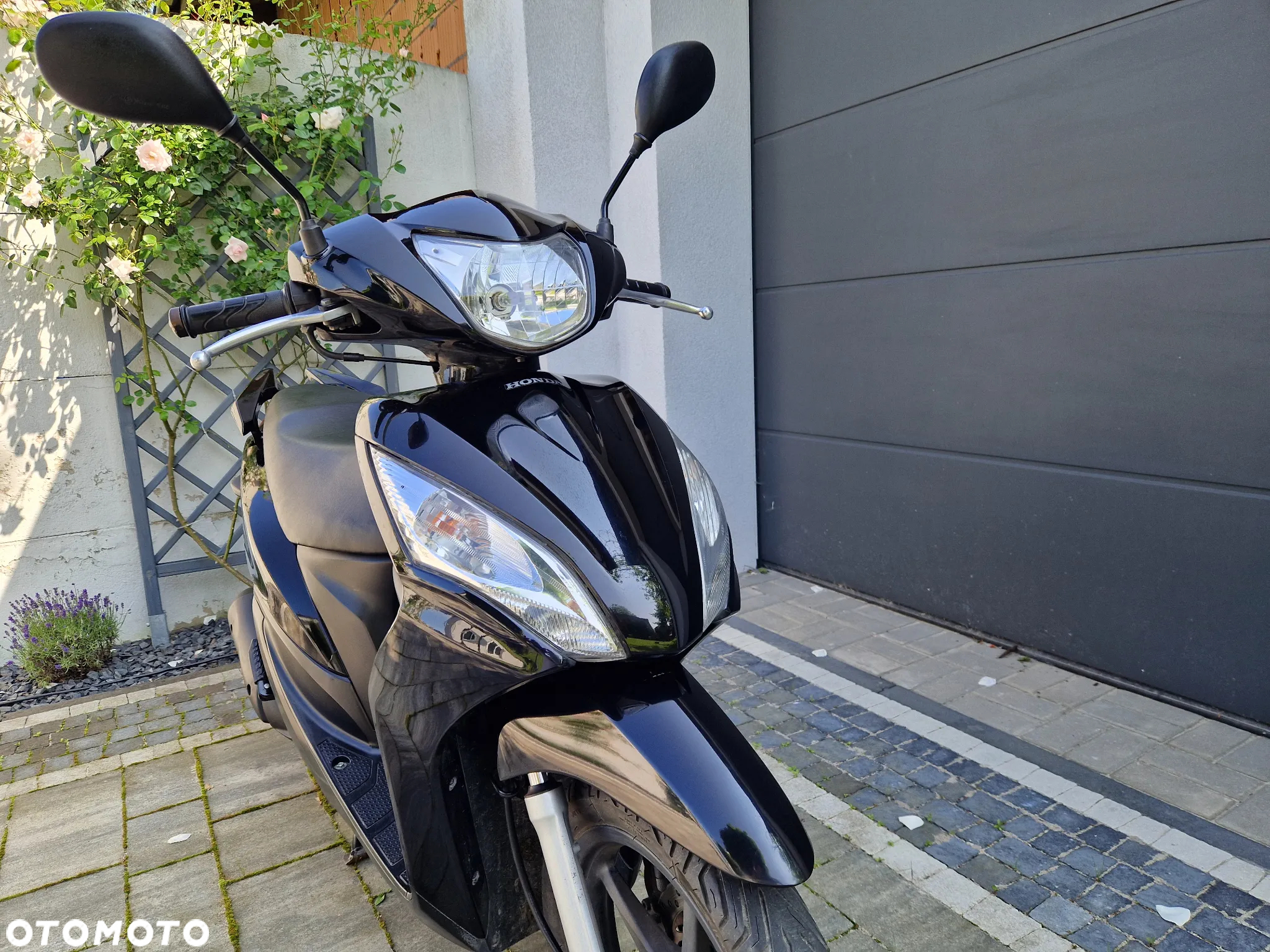 Honda Vision - 3