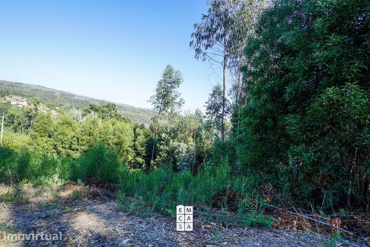 Terreno  Venda em Pinheiro da Bemposta, Travanca e Palmaz,Oliveira de - Grande imagem: 2/12