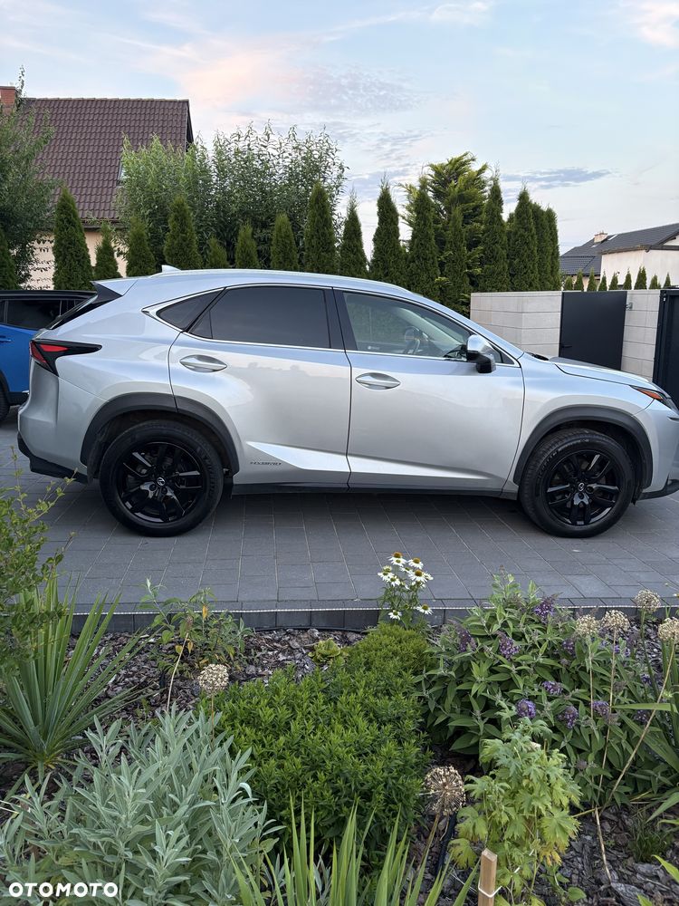 Lexus NX - 3