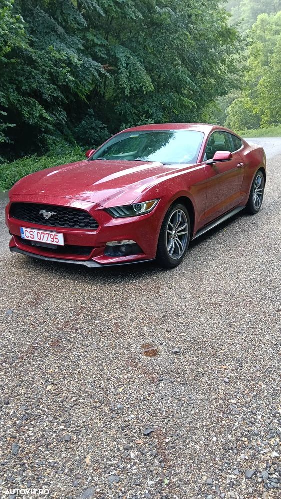 Ford Mustang 2.3 EcoBoost Aut. - 3