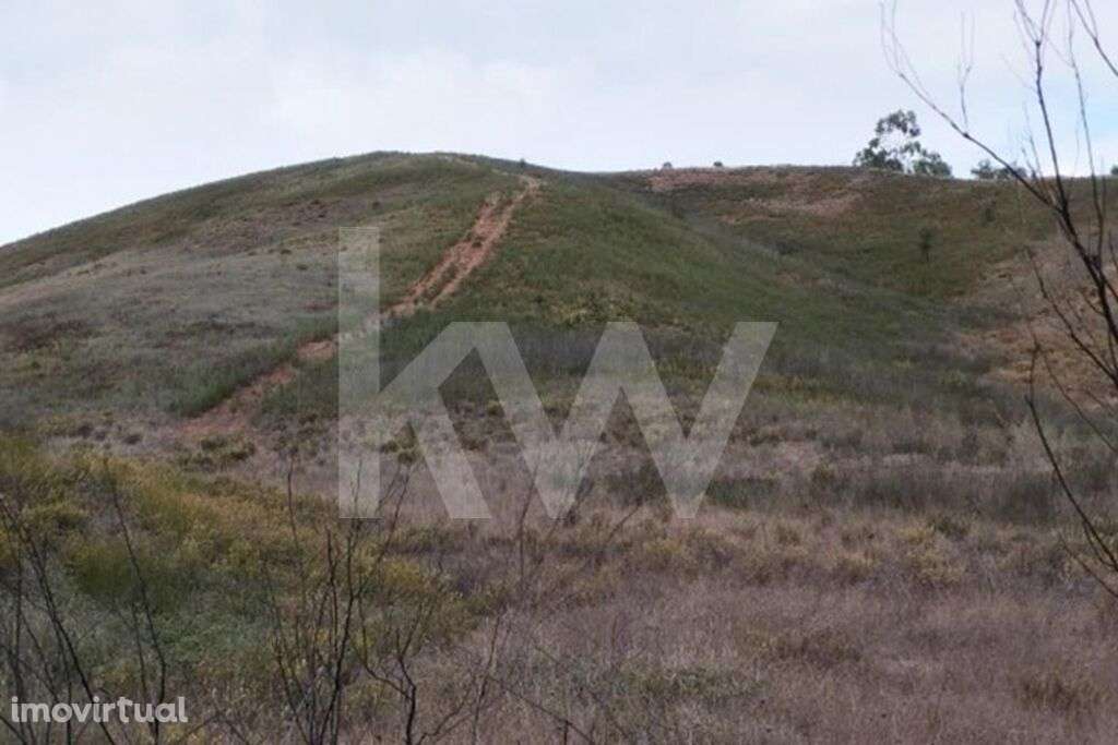 Cultura Arvense - Grande imagem: 4/10