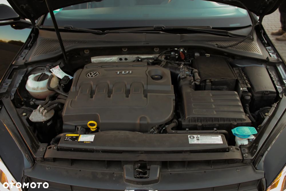 Volkswagen Golf 1.6 TDI BlueMotion Technology Allstar - 40
