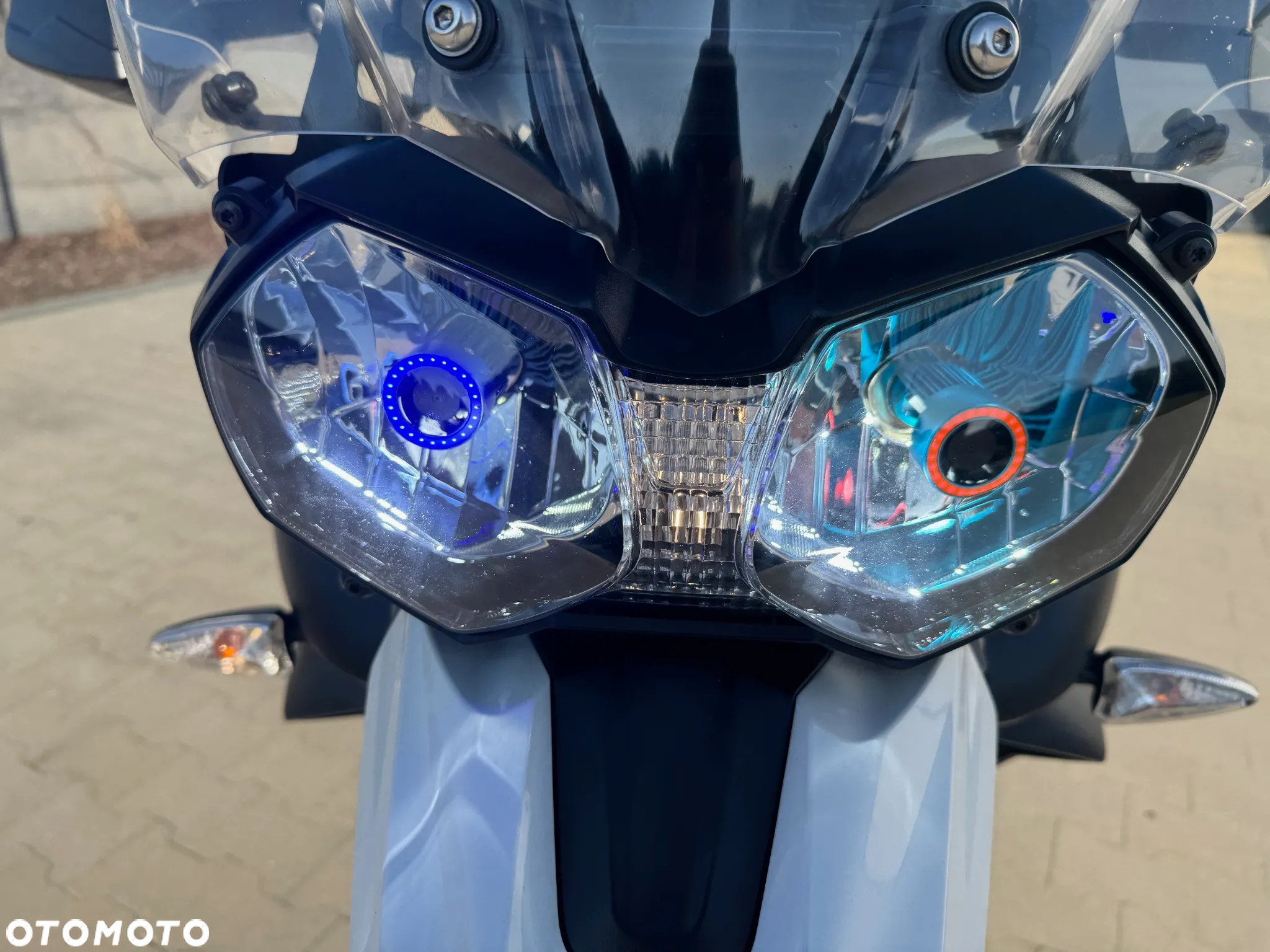 Triumph Tiger - 21