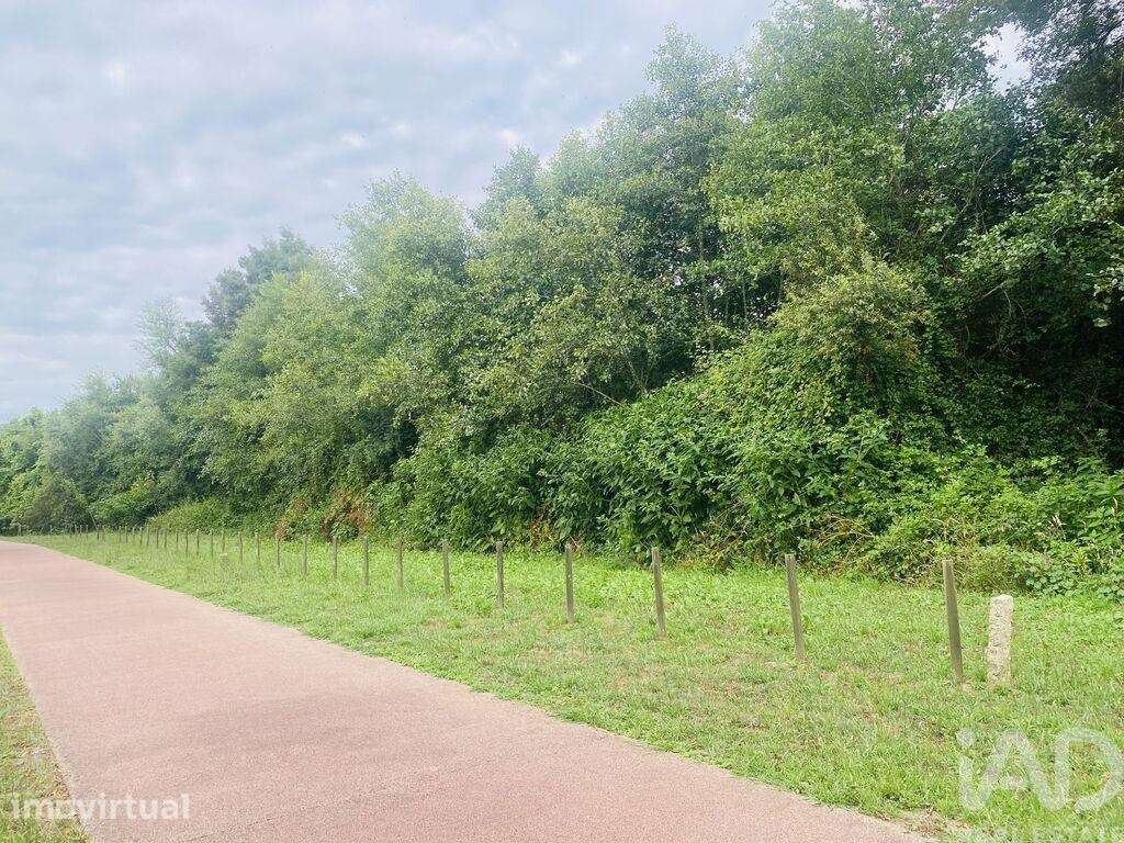 Terreno Agrícola em Loivo de 2850,00 m2 - Grande imagem: 3/13