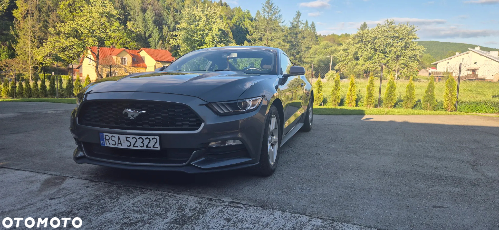 Ford Mustang - 15