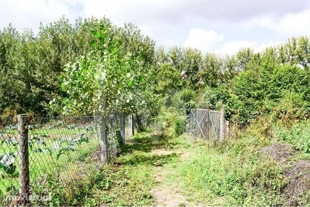 Terreno 3.420m2 com celeiro de 48m2 - Grande imagem: 5/12