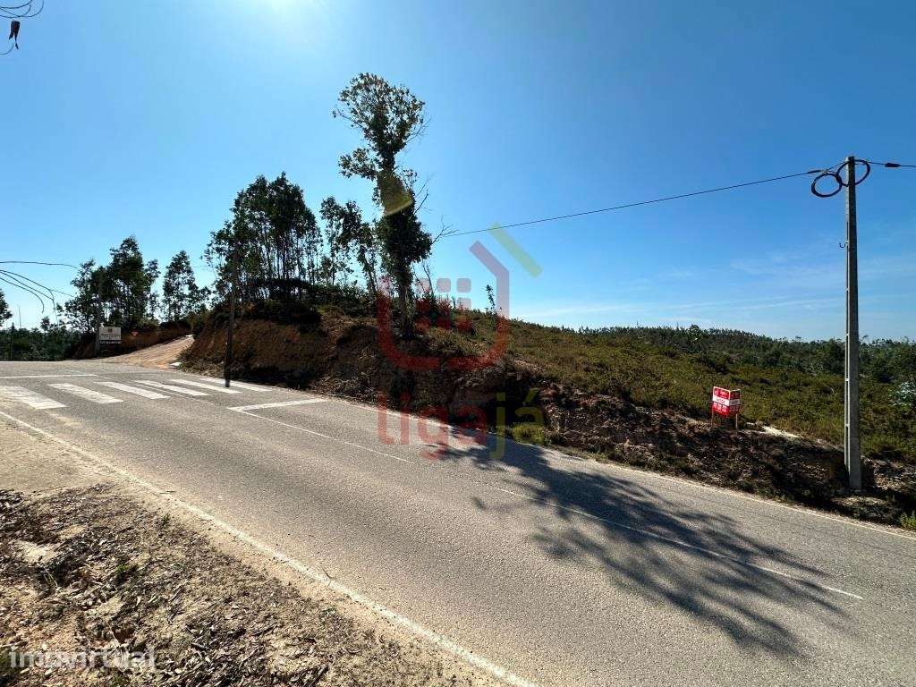 Terreno Rústico, Espite, Ourém - Grande imagem: 3/8