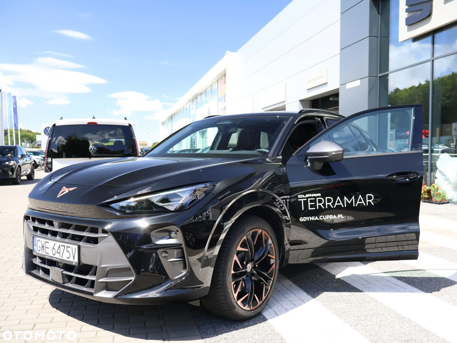 Cupra Terramar - 6