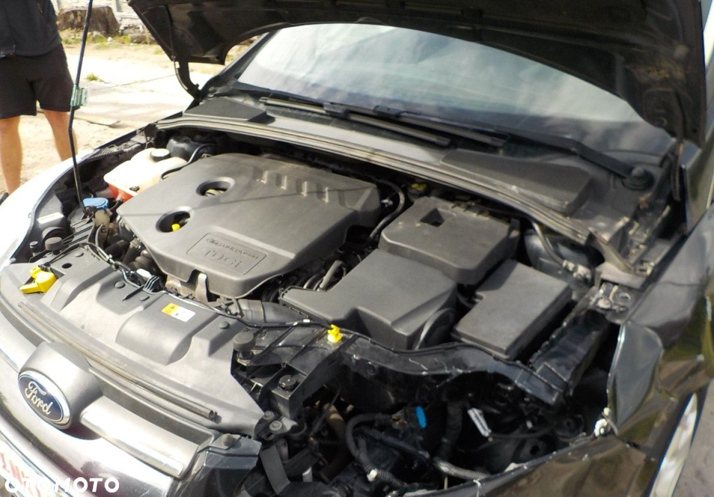 Ford Focus - 10