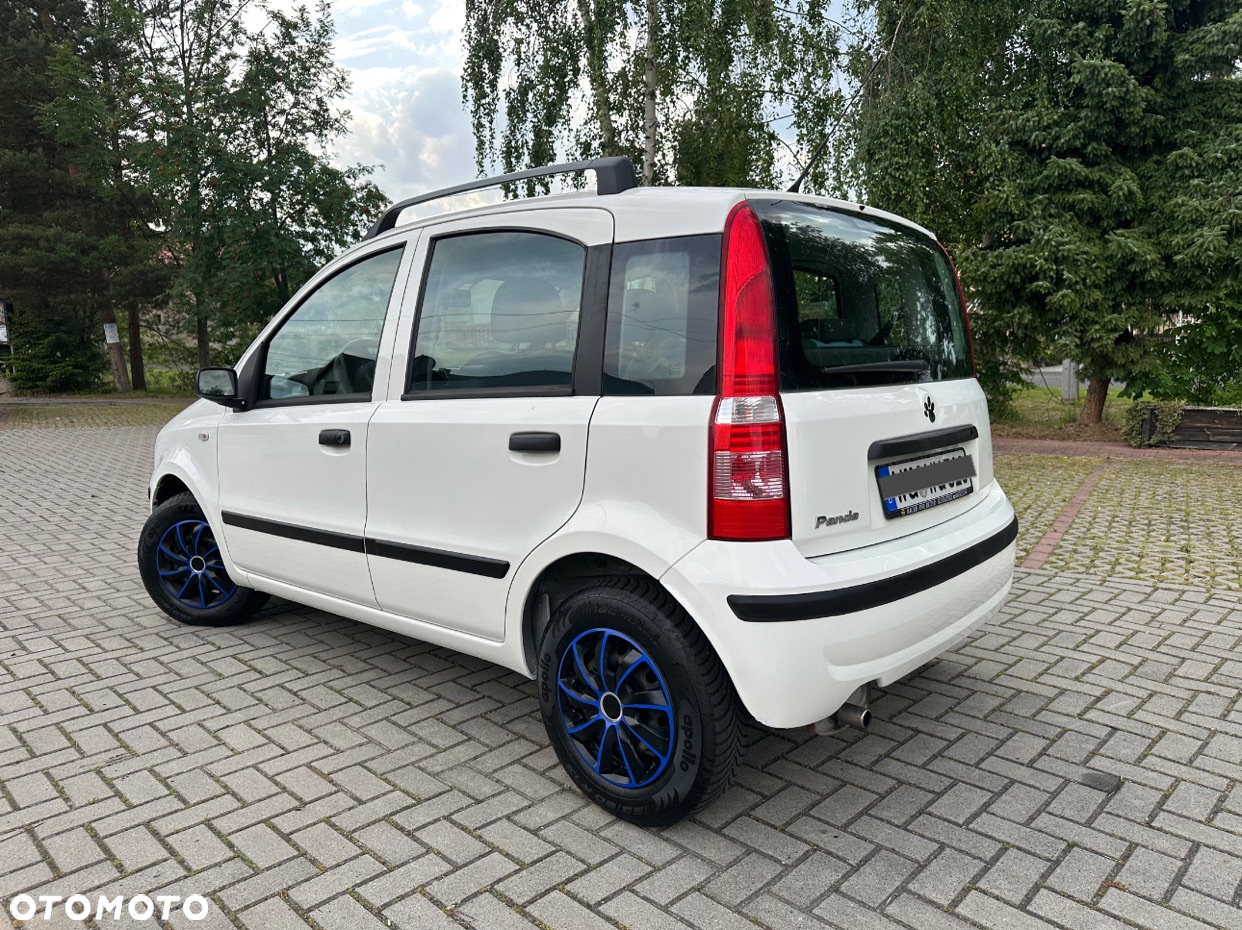 Fiat Panda 1.2 Active Eco - 3