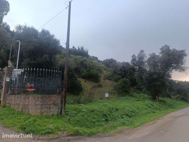 Vendo Terreno no campo - Grande imagem: 5/5