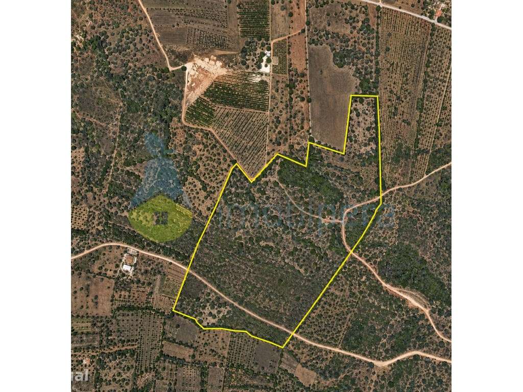 Terreno agricola com vista panoramica em Pomar Pico Alto S.Bartolom... - Grande imagem: 5/5