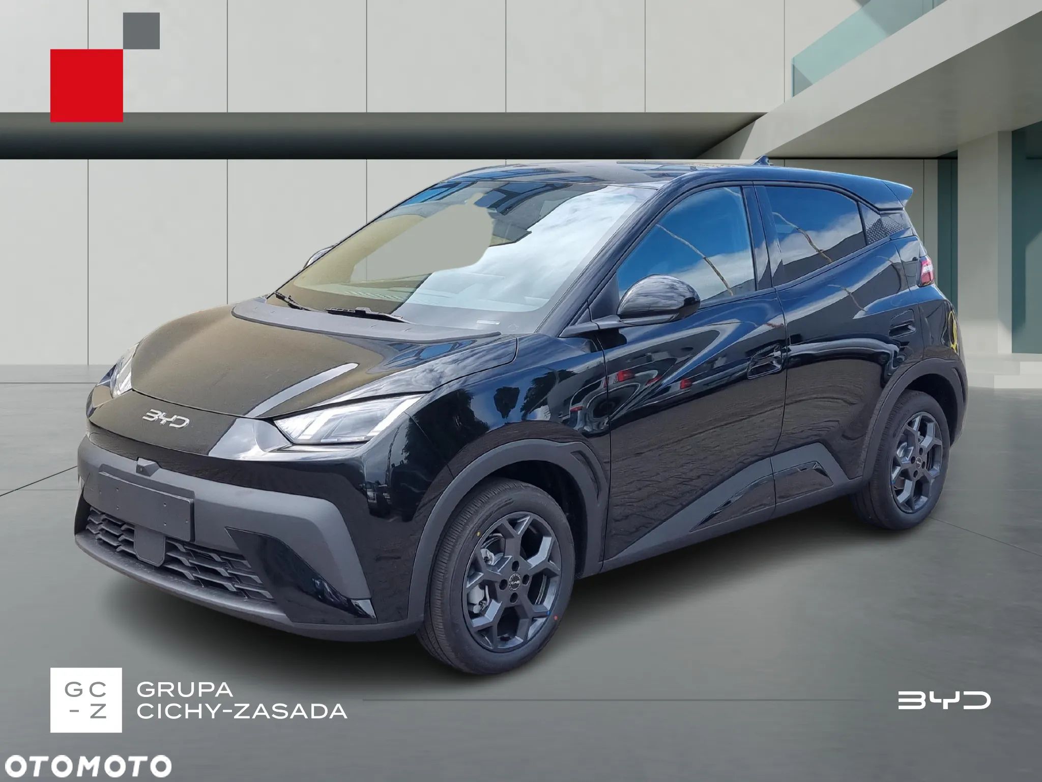 BYD Dolphin Surf - 1