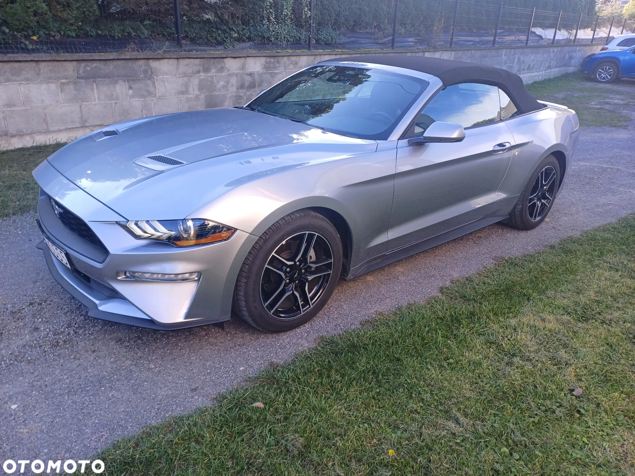 Ford Mustang Cabrio 2.3 Eco Boost - 2