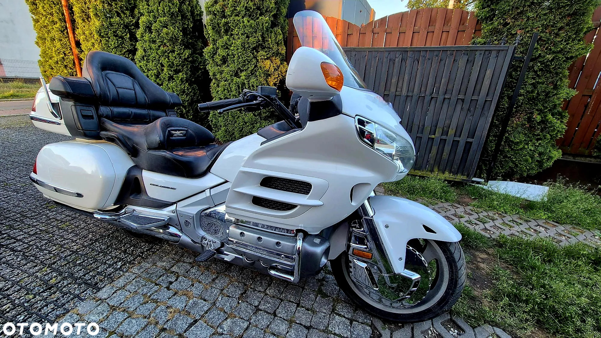 Honda GL - 10