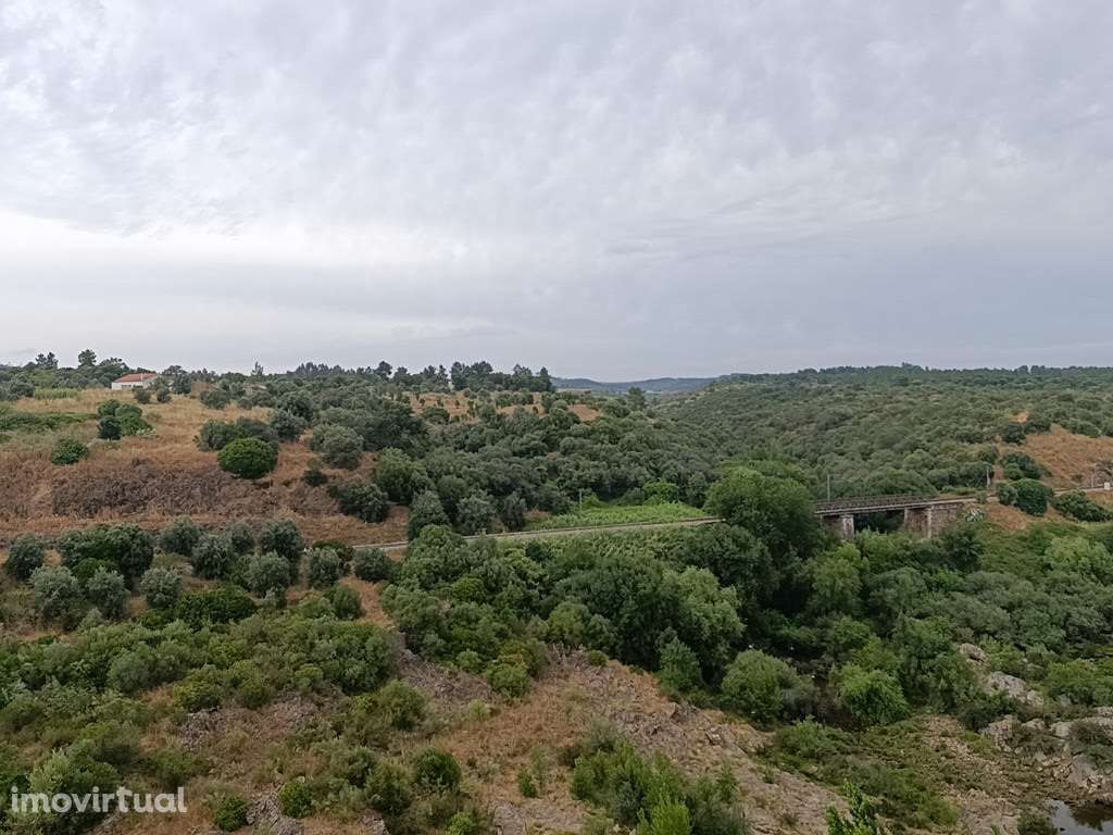 Quinta / Herdade em zona de Mouriscas, Santarém - Grande imagem: 2/20