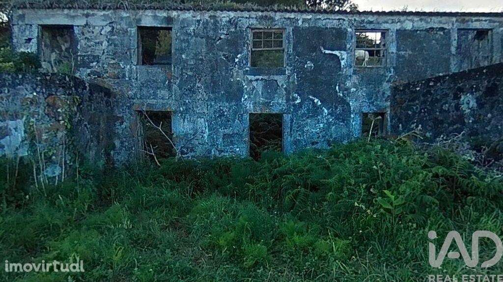 Casa de Campo T3 em Piedade de 180,00 m2 - Grande imagem: 2/20