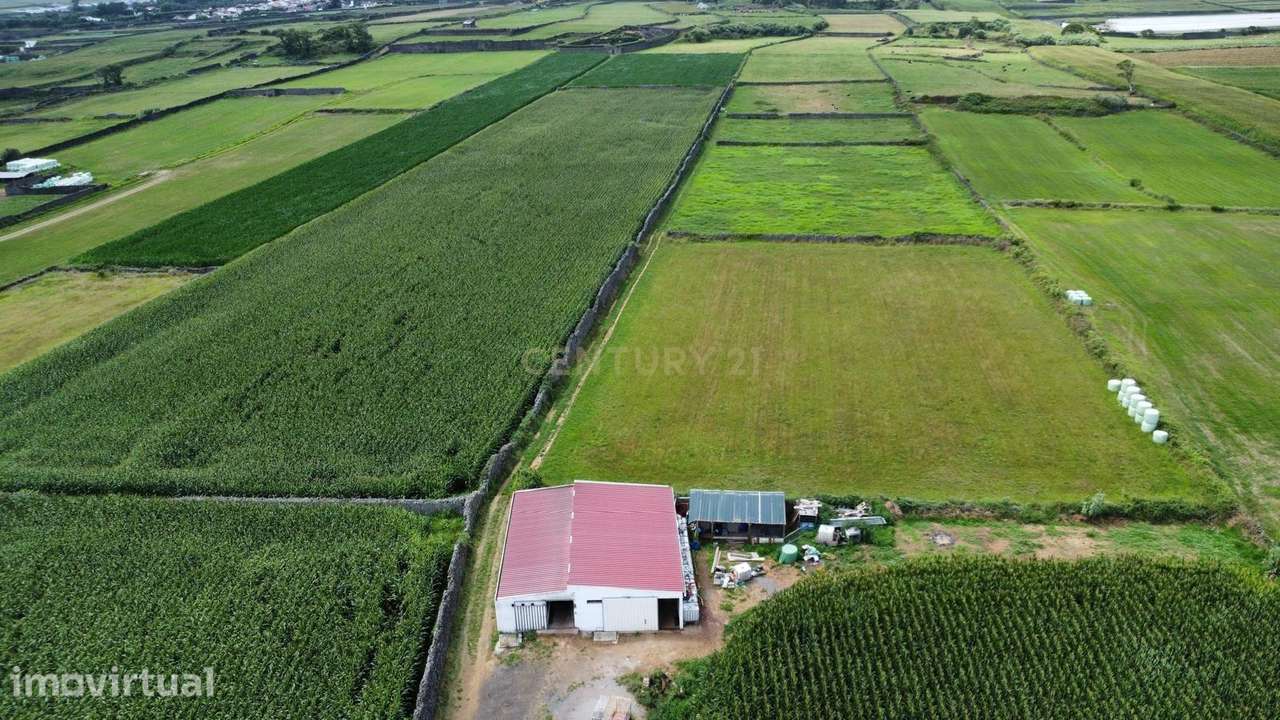 Terreno Agrícola Plano com 6.240 m² | Excelente Exposição Solar | Calh - Grande imagem: 4/5