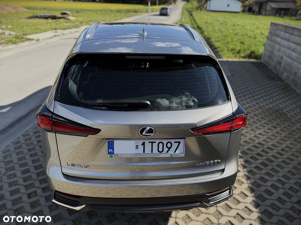 Lexus NX 300h Business Edition AWD - 12