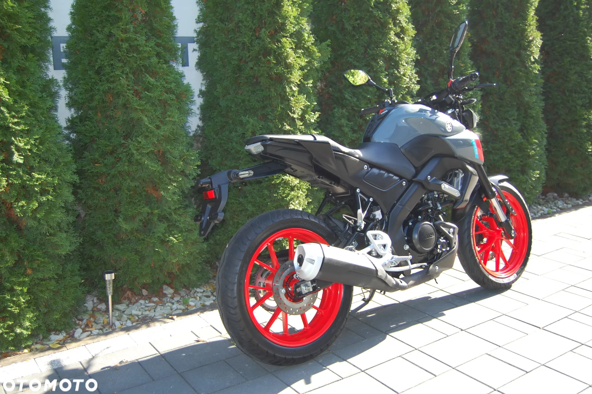 Yamaha MT - 3